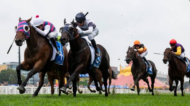 Top Betting Sites in Australia: A Guide to Safe and Exciting Wagering